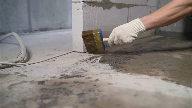 Top rated local Wet Basement Repair specialists in New Vienna, OH